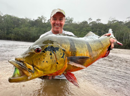 Breaking News: A New IGFA World Record for the Largest Peacock Bass! It's 94!!!