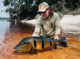 New IGFA World Record Peacock Bass Landed on the Rio Marié